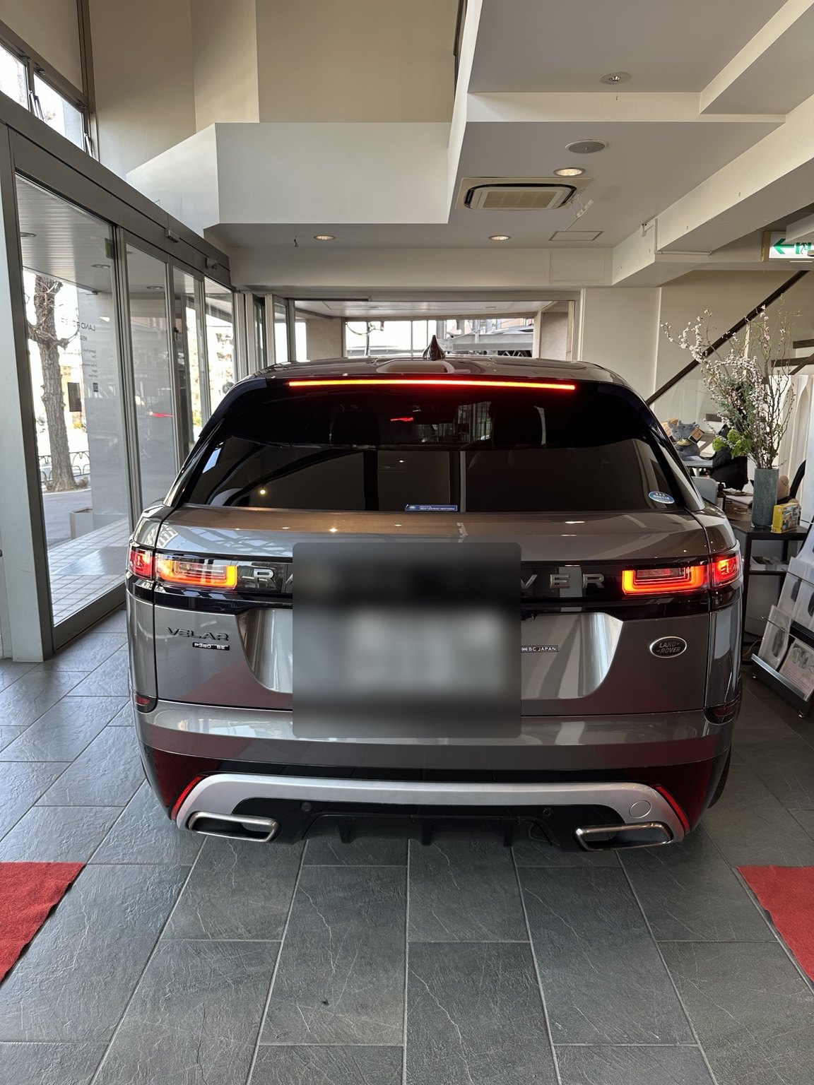 Velar photo