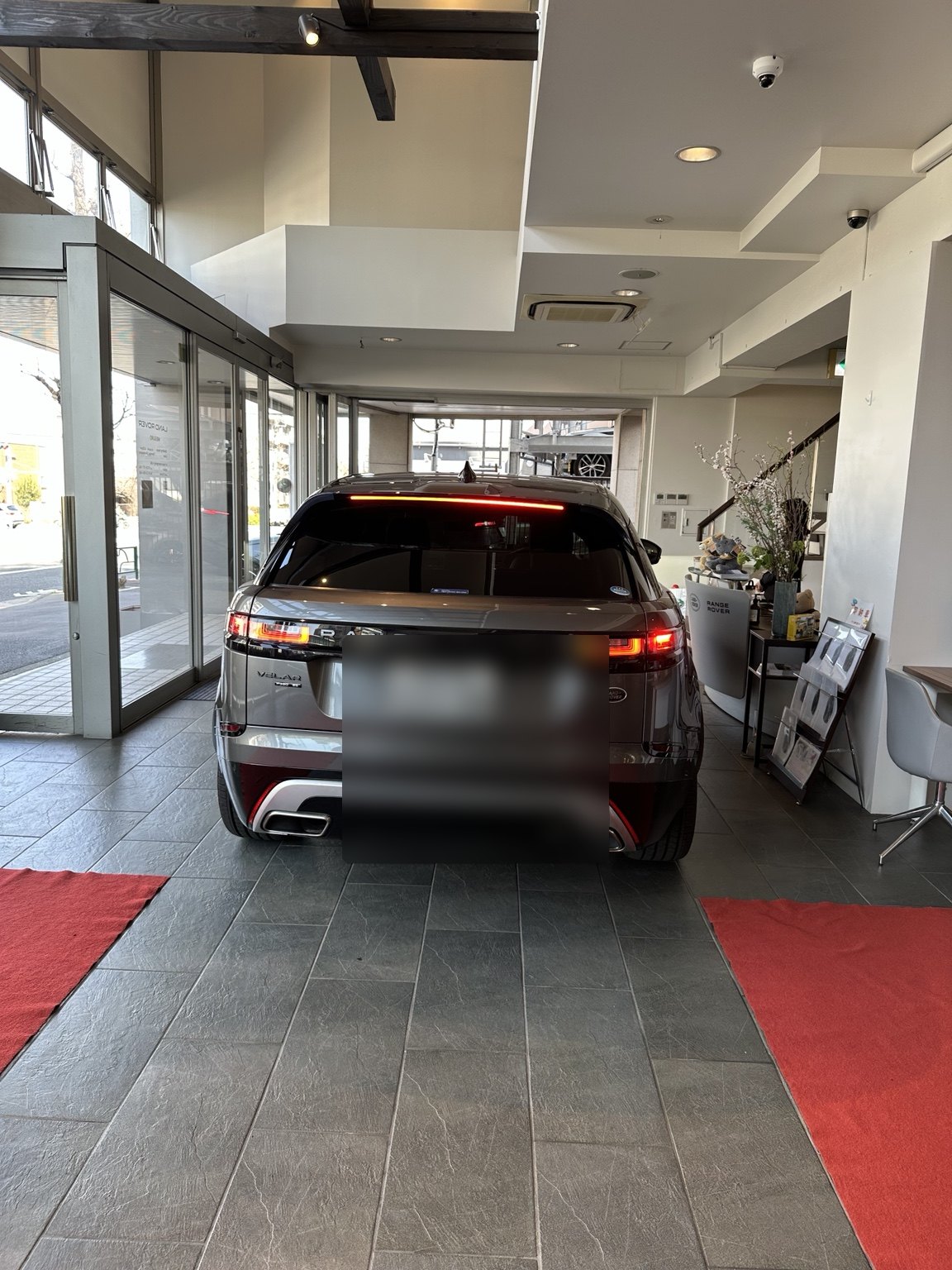 Velar photo