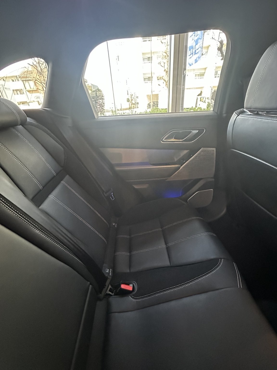 Velar photo