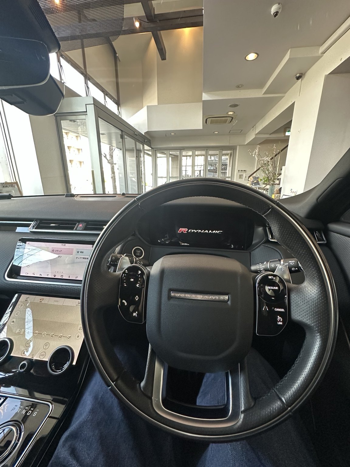 Velar photo