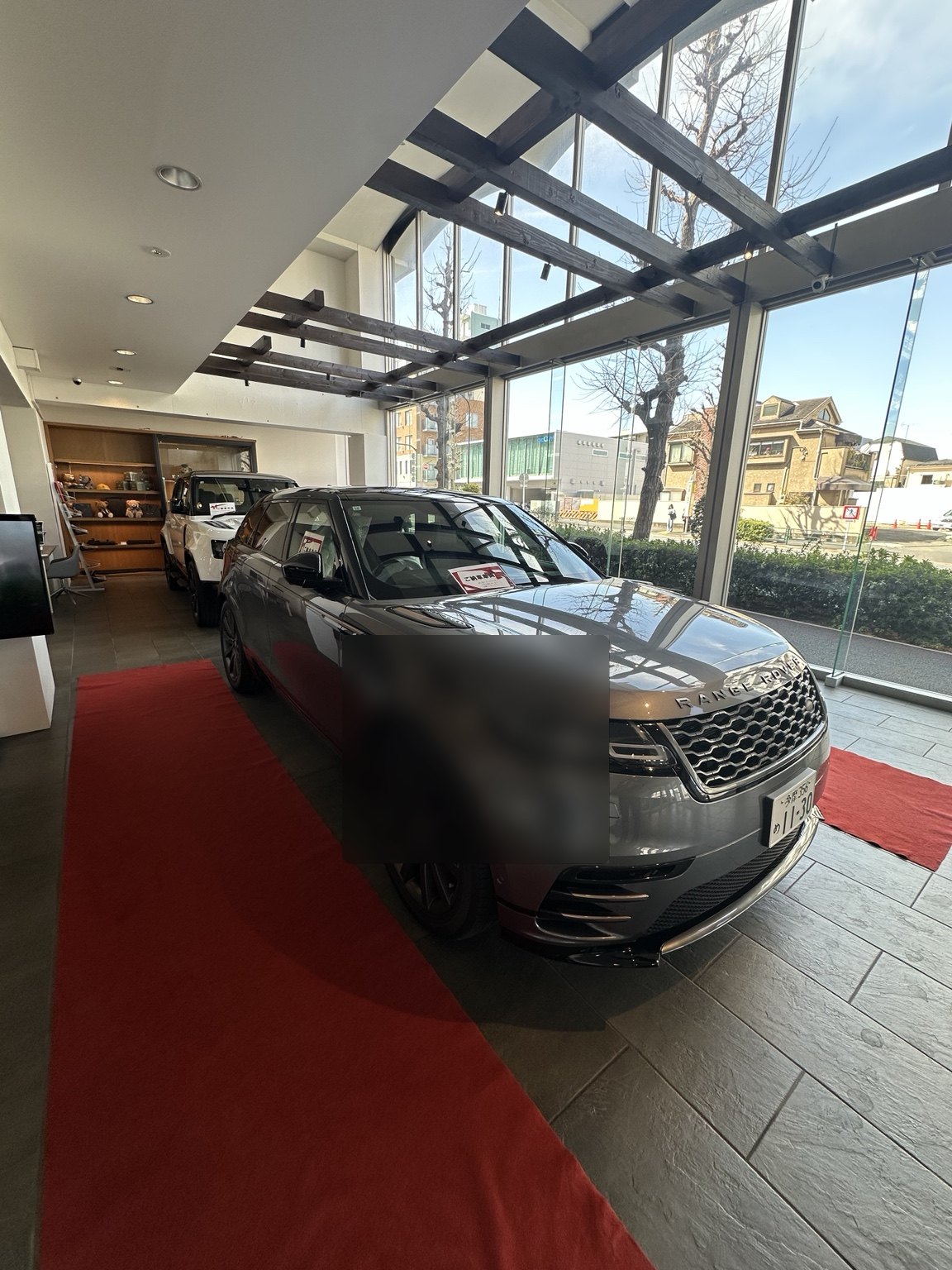 Velar photo